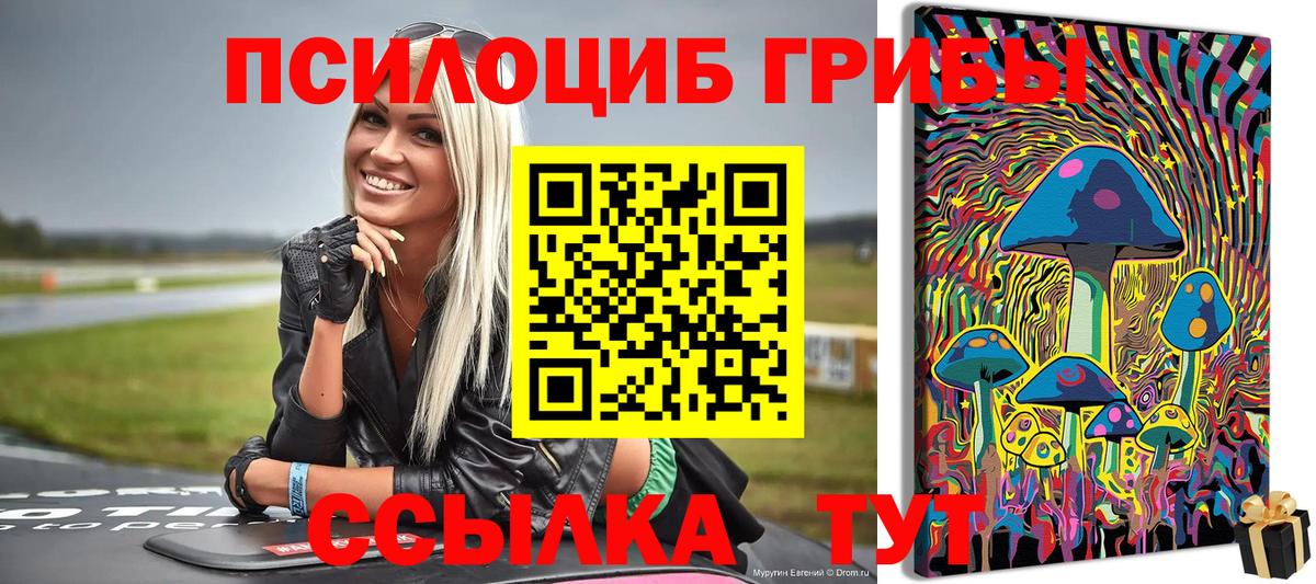 Галлюциногенные грибы Cubensis Александров