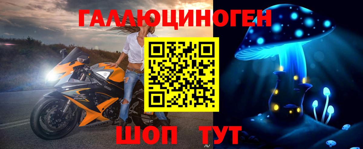 Галлюциногенные грибы Cubensis  Вход с VPN  Александров 